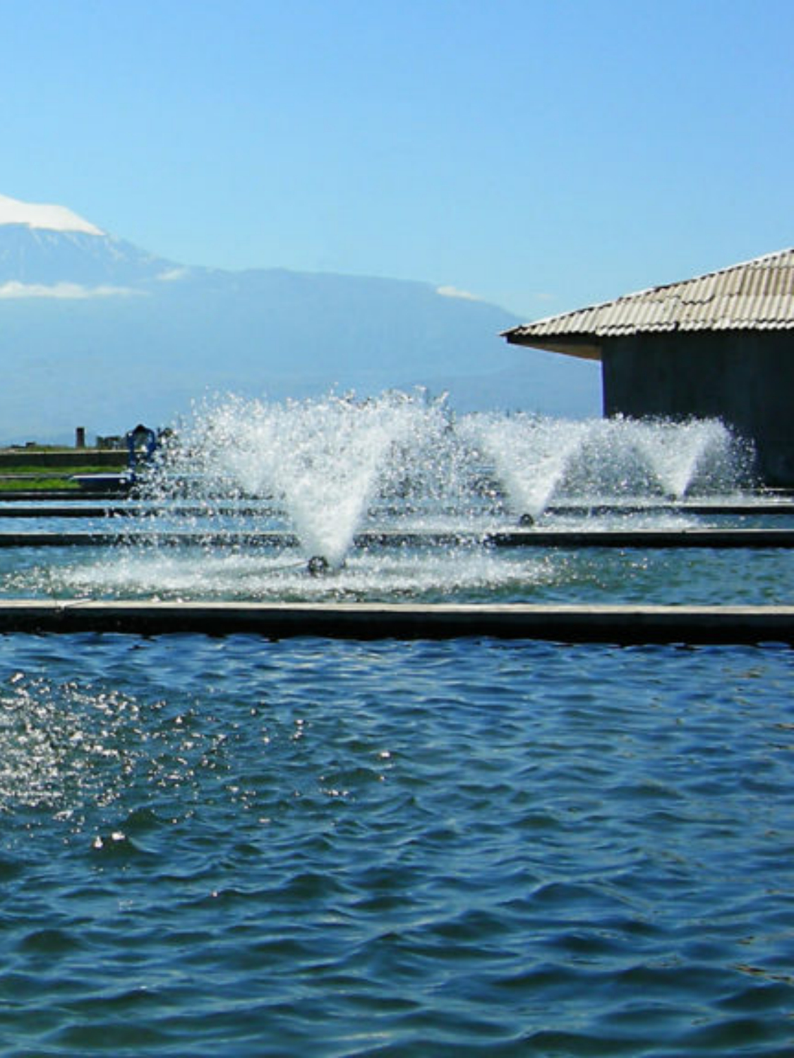 Flobull aérateur pour lac,étang et plan d'eau