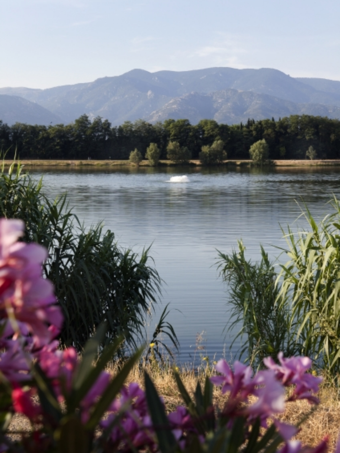 aération lac