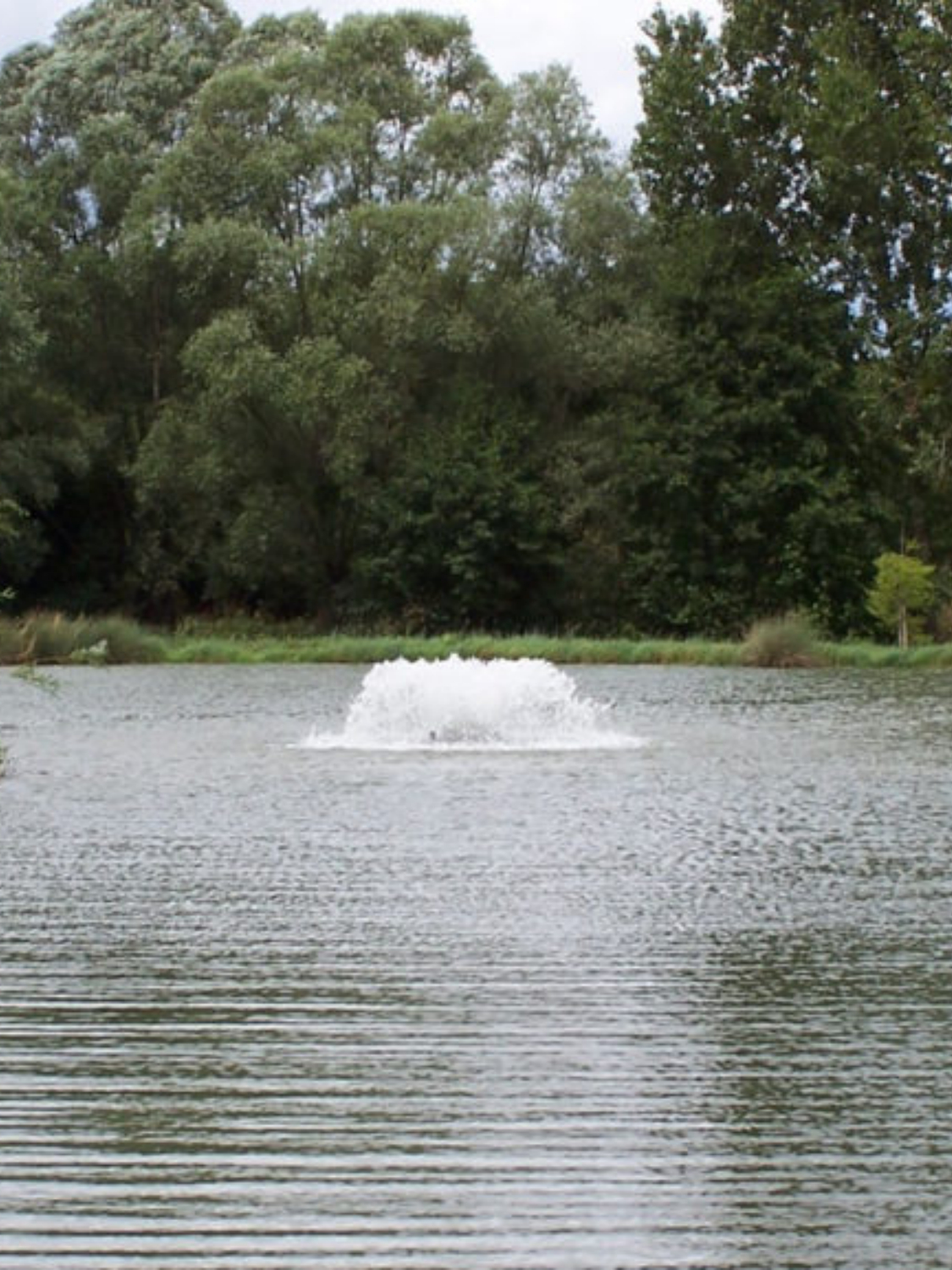 aérateur étang