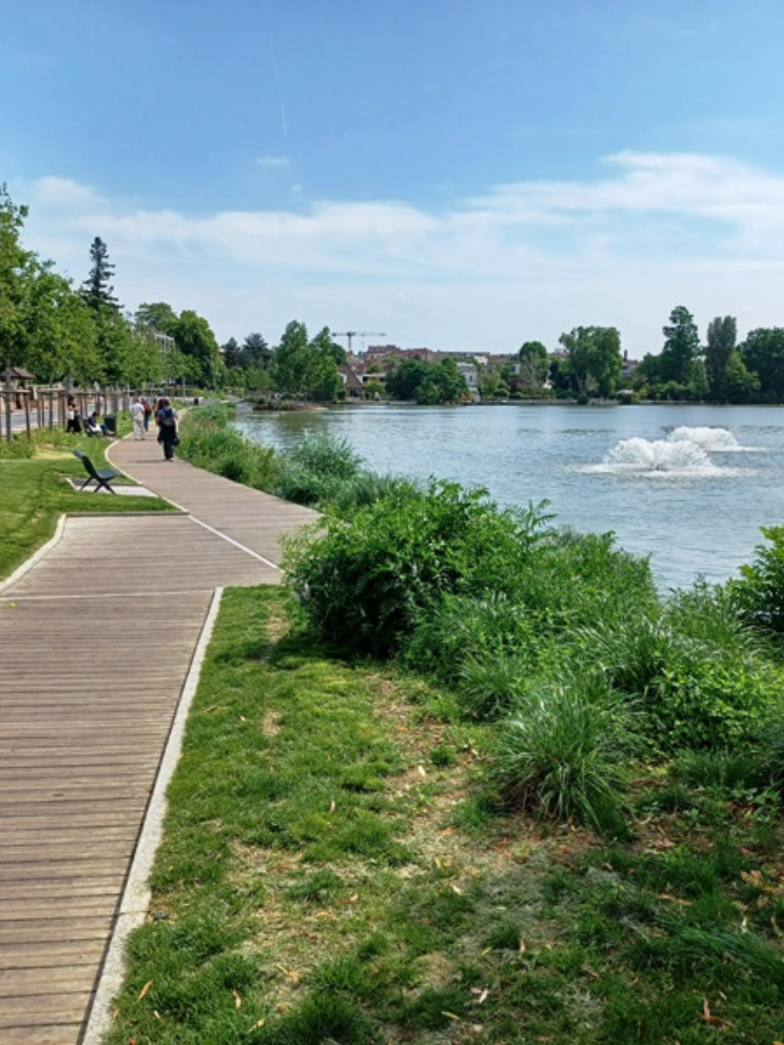 aération lac