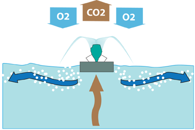 diffusion oxygène